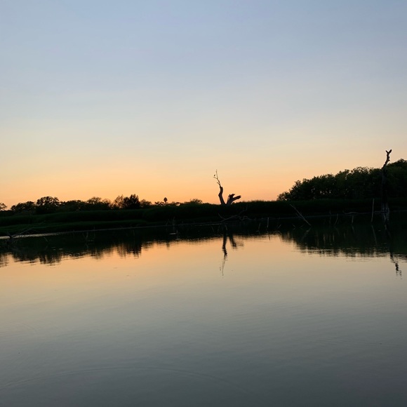 Meet your Posher, Leslie - Picture 1 of 1